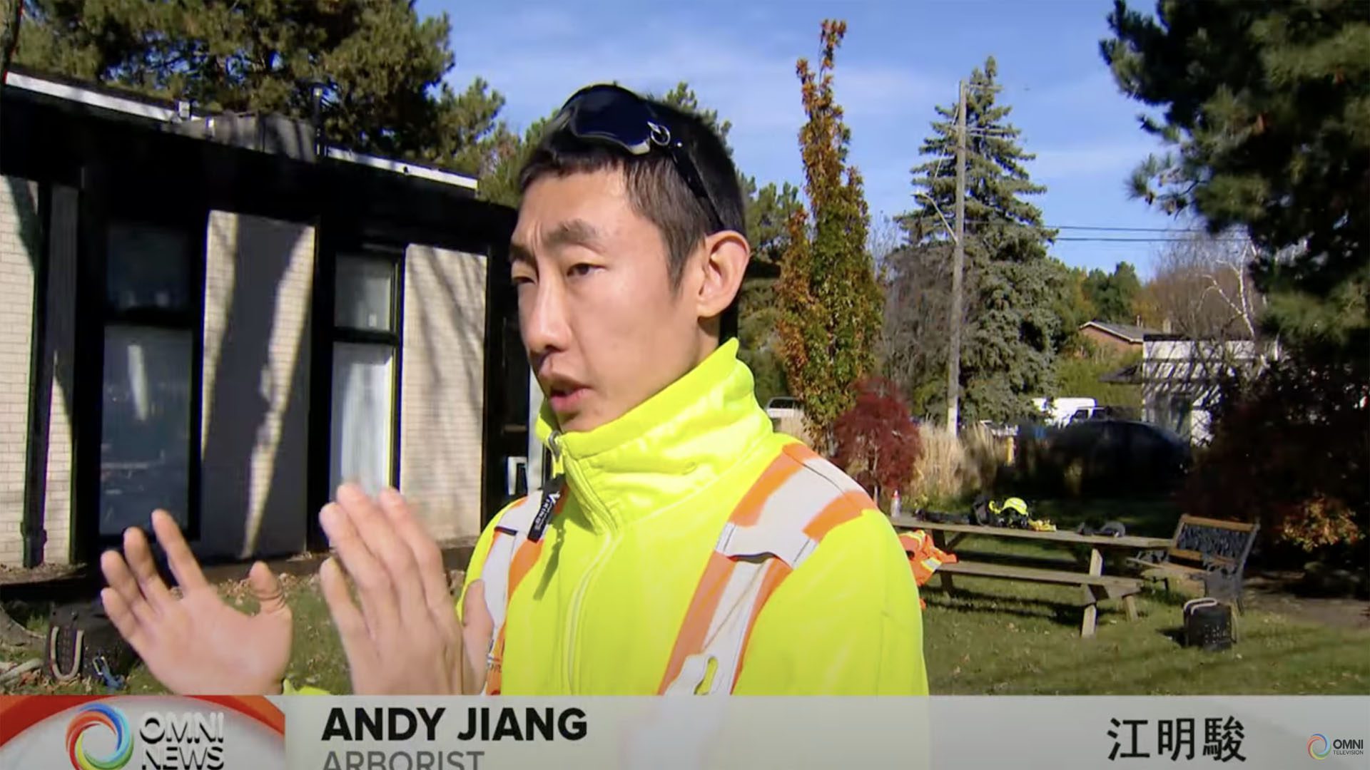 OMNI NEWS - Arborist Mingchun Chiang to Pursue Dreams in Canada. 攀樹師江明駿的加拿大追夢之旅